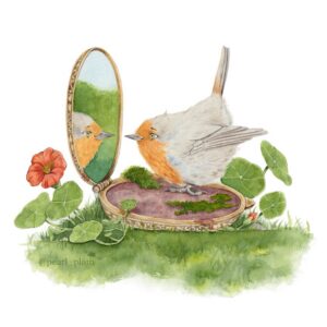 Robyn bird illustration